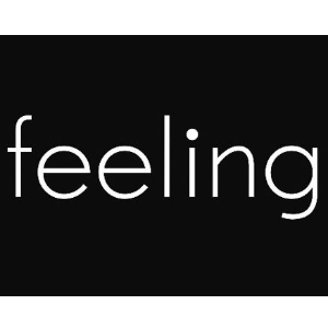 Imagem de FEELING ESTOFADOS LTDA